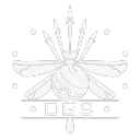 Darkglass Studios