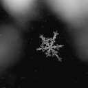 Icy Exterior Discord server icon