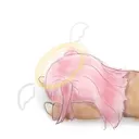 なば鯖