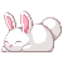 Bunny's House