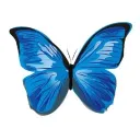 Butterfly Effect Podcast