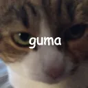 guma 7even11even