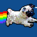 Pugs chillvill