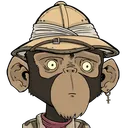 TheLostApes