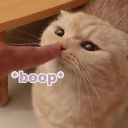 (TEMP Closed) CatHub