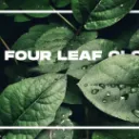 the four leaf clover #70