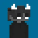 Hypixel Skyblock Coins