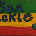 The USS Dumb Asshole (SeaFPickle's Discord)