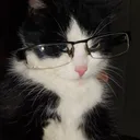 : ,