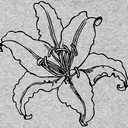 Dark Lilly PMC