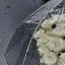 ♫☆