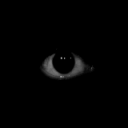 Haunted Hollow&amp;trade; Server Icon