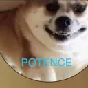 potence's icon