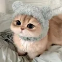  𝙿𝚊𝚛𝚊𝚍𝚒𝚜𝚎  Discord Server Icon