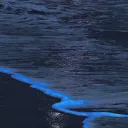 rainfall Discord Server Icon