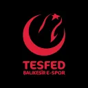Balıkesir TESFED İl Temsilciliği