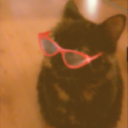 Reggies Server Icon