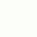 WHITELIST