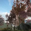 New Beginnings Ark
