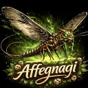 Affegnagi`s DC