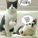 우당탕탕 뜰팁 디코섭