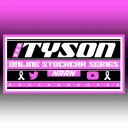 (Off-Season/Rebuild) Tyson Online Stockcar series