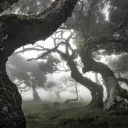 [ ramcoa system safespace ] Discord Server Icon