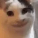 MEOW PANTS'S AMAZIN' server