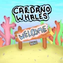 Cardano Whales
