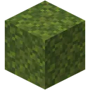 Spawn Moss Project
