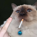 blood Discord server icon