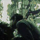 The Mosaictrix