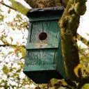 The Birdhouse