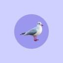 Pride Greifswald Discord Server Icon