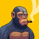 Crypto Apes 🦍