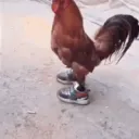 Chicken Nuggets