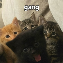 The Billi Den