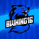 BWK Alphix-Cord