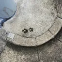 泡の楽しい楽しいサーバー