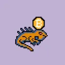 Investing Iguanas