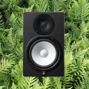 NZ Music Collective