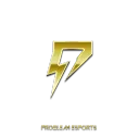 ✨PROBLEM ESPORTS