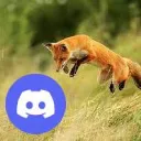 Zorrowers en Discord