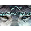 The Night Wolves