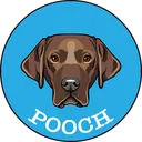 Pooch