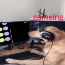 Tvoja mama