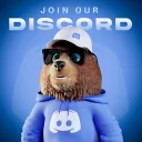 BeezerBears's V