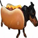 hardwiener