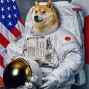 Cheemsin Nasa