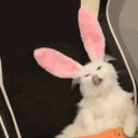 The Bunny Ears